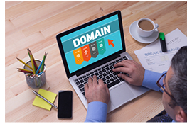 Domain Providers